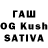 Галлюциногенные грибы Psilocybe TeeKO Katina