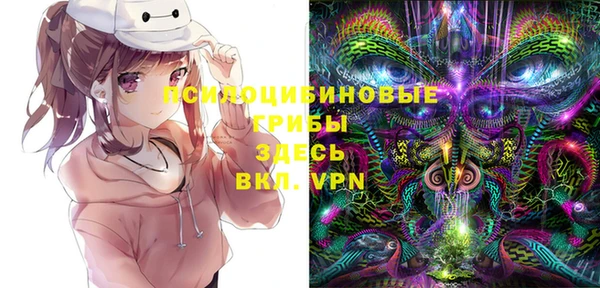 дживик Алзамай