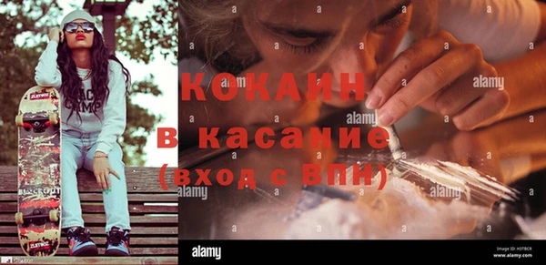 дживик Алзамай