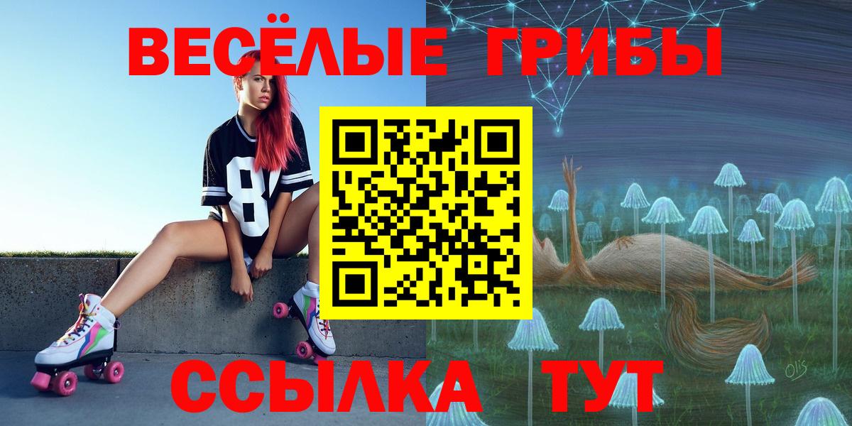 закладка  Псилоцибиновые грибы мухоморы  Вход с VPN  Усть-Лабинск 