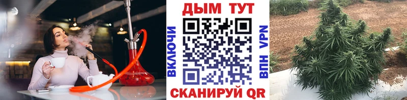 даркнет сайт Усть-Лабинск Канабис индика